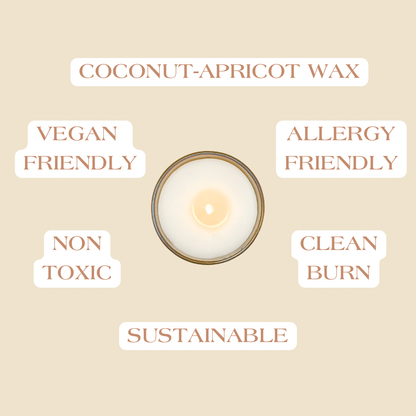 An ariel view with product facts about coconut apricot wax candles.