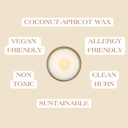 An ariel view with product facts about coconut apricot wax candles.